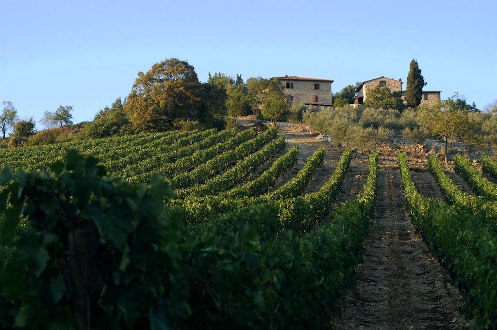 Collelungo Konuk evi Castellina in Chianti Dış mekan fotoğraf