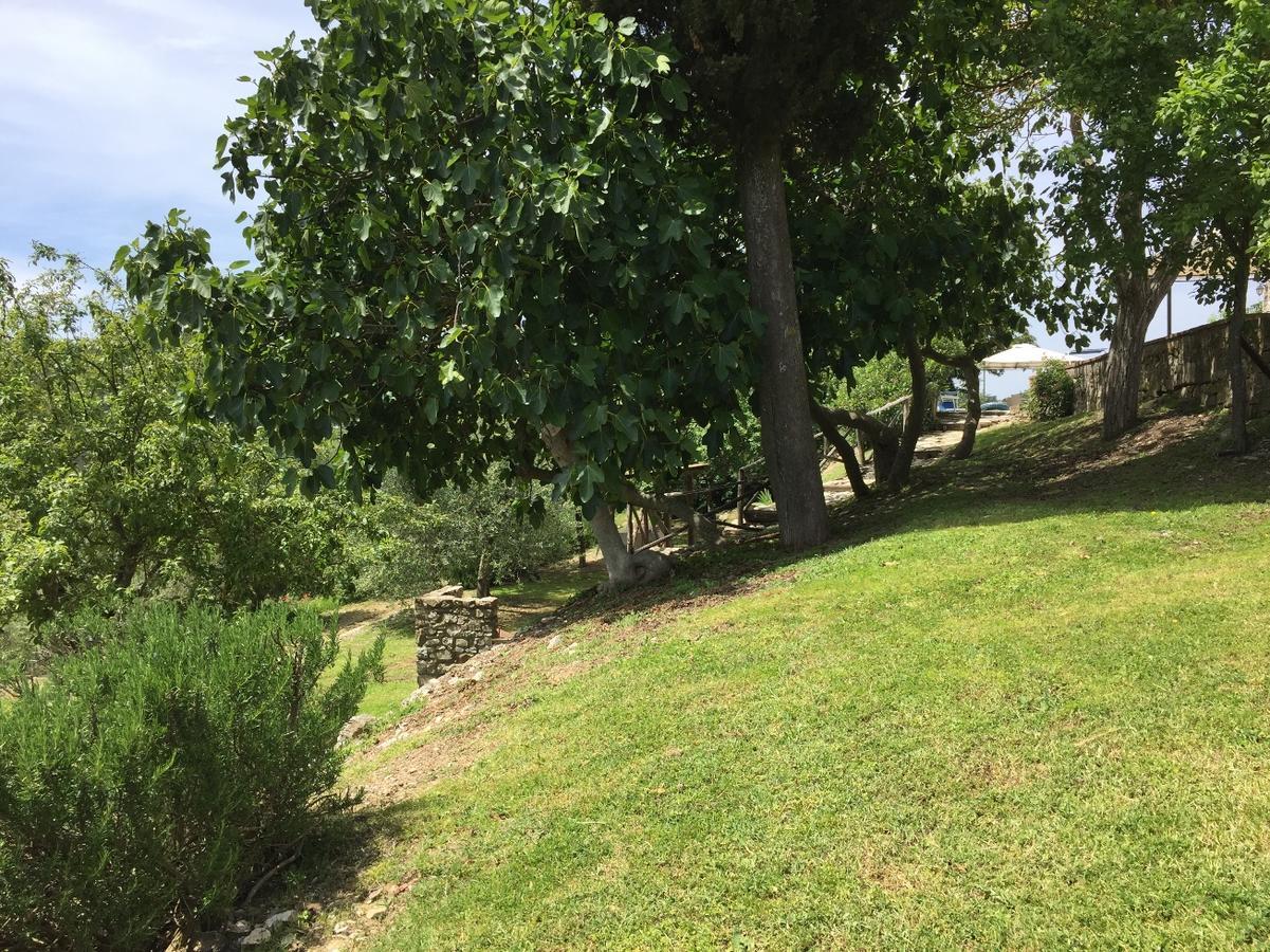 Collelungo Konuk evi Castellina in Chianti Dış mekan fotoğraf